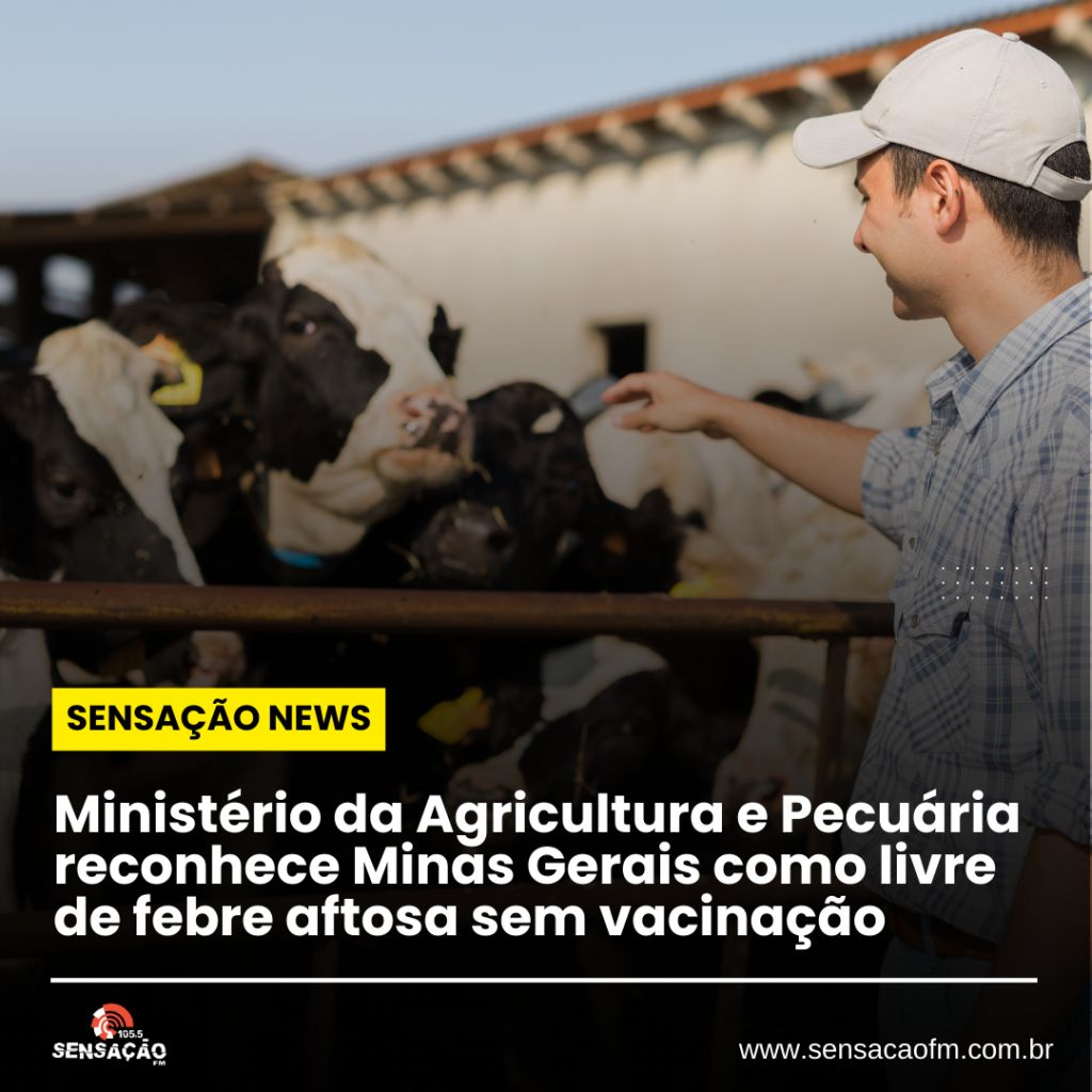 Ministério da Agricultura e Pecuária reconhece Minas Gerais como livre de febre aftosa sem vacinação