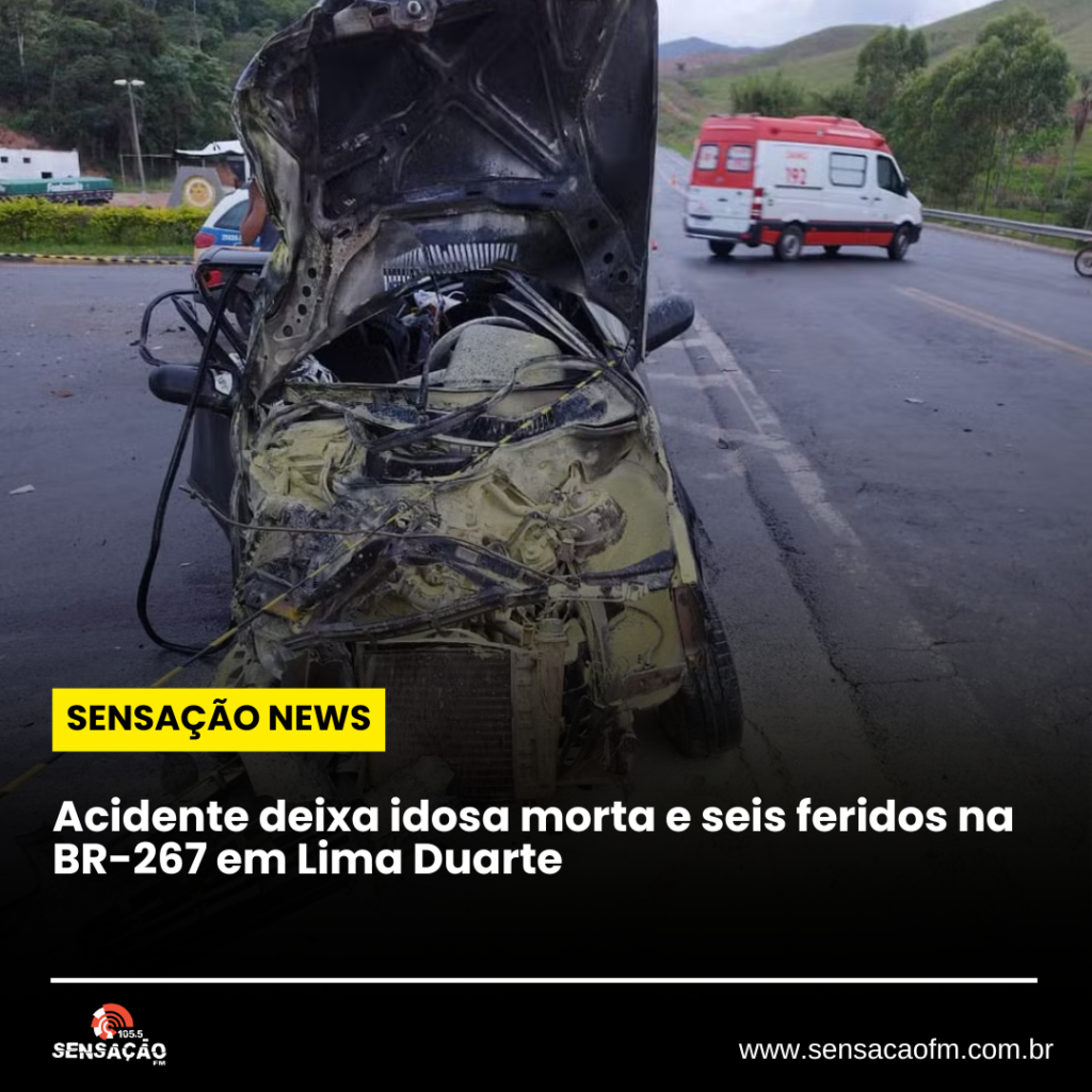 Acidente deixa idosa morta e seis feridos na BR-267 em Lima Duarte